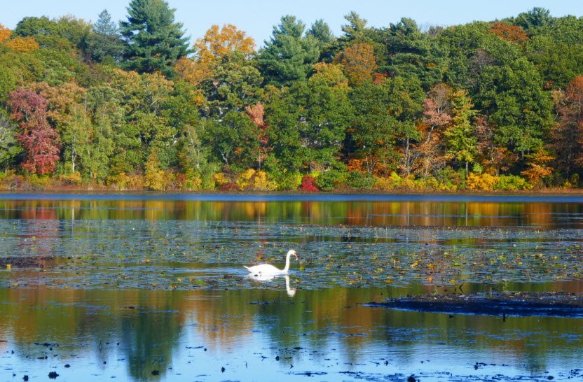 Hammond Pond Reservation, Massachusetts, USA
